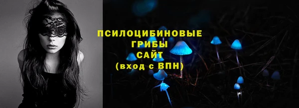 соль курить ск Алексеевка