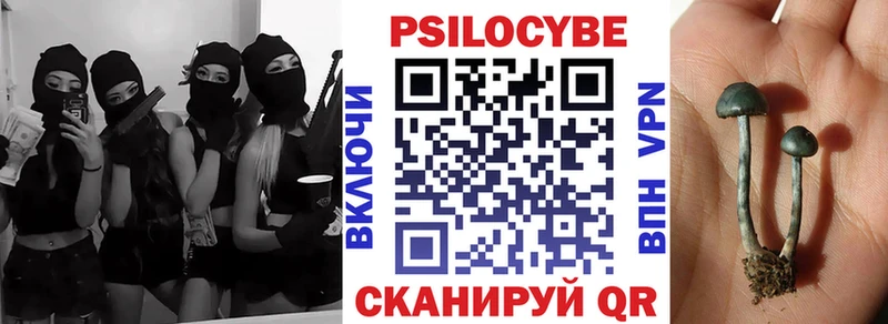 Галлюциногенные грибы Psilocybine cubensis  Старая Русса 