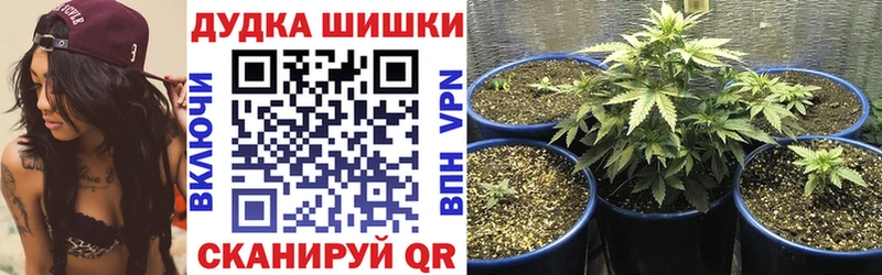 где купить   Старая Русса  маркетплейс клад  МАРИХУАНА семена 